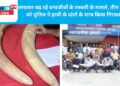 लगातार बढ़ रहे वन्यजीवों के तस्करी के मामले, तीन तस्करो को पुलिस ने हाथी के दांतो के साथ किया गिरफ्तार