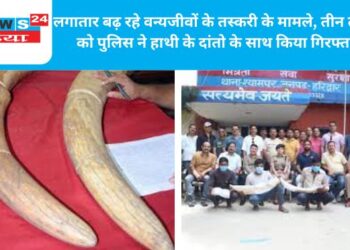 लगातार बढ़ रहे वन्यजीवों के तस्करी के मामले, तीन तस्करो को पुलिस ने हाथी के दांतो के साथ किया गिरफ्तार