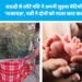 सऊदी से लौटे पति ने अपनी जुड़वा बेटियों को बताया ‘नाजायज़’, पत्नी ने दोनों को गाला काट कर मार डाला