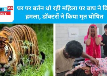 घर पर बर्तन धो रही महिला पर बाघ ने किया हमला, डॉक्टरों ने किया मृत घोषित