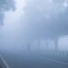 Weather Update Uttarakhand: हरिद्वार और ऊधमसिंह नगर में घने कोहरे का यलो अलर्ट जारी, रात को पाला, सुबह कोहरा बढ़ा रहा परेशानियां