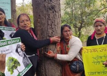 पहाड़ों में चिपको आंदोलन 2.0