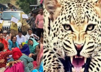 उत्तराखंड: जखोली के मयाली आश्रम में गुलदार का कहर, दो महीने में 6 हमले – ग्रामीणों में दहशत और गुस्सा