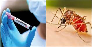 देहरादून में कोरोना और डेंगू के नए मामले बढ़े, स्वास्थ्य विभाग की सक्रियता बढ़ी